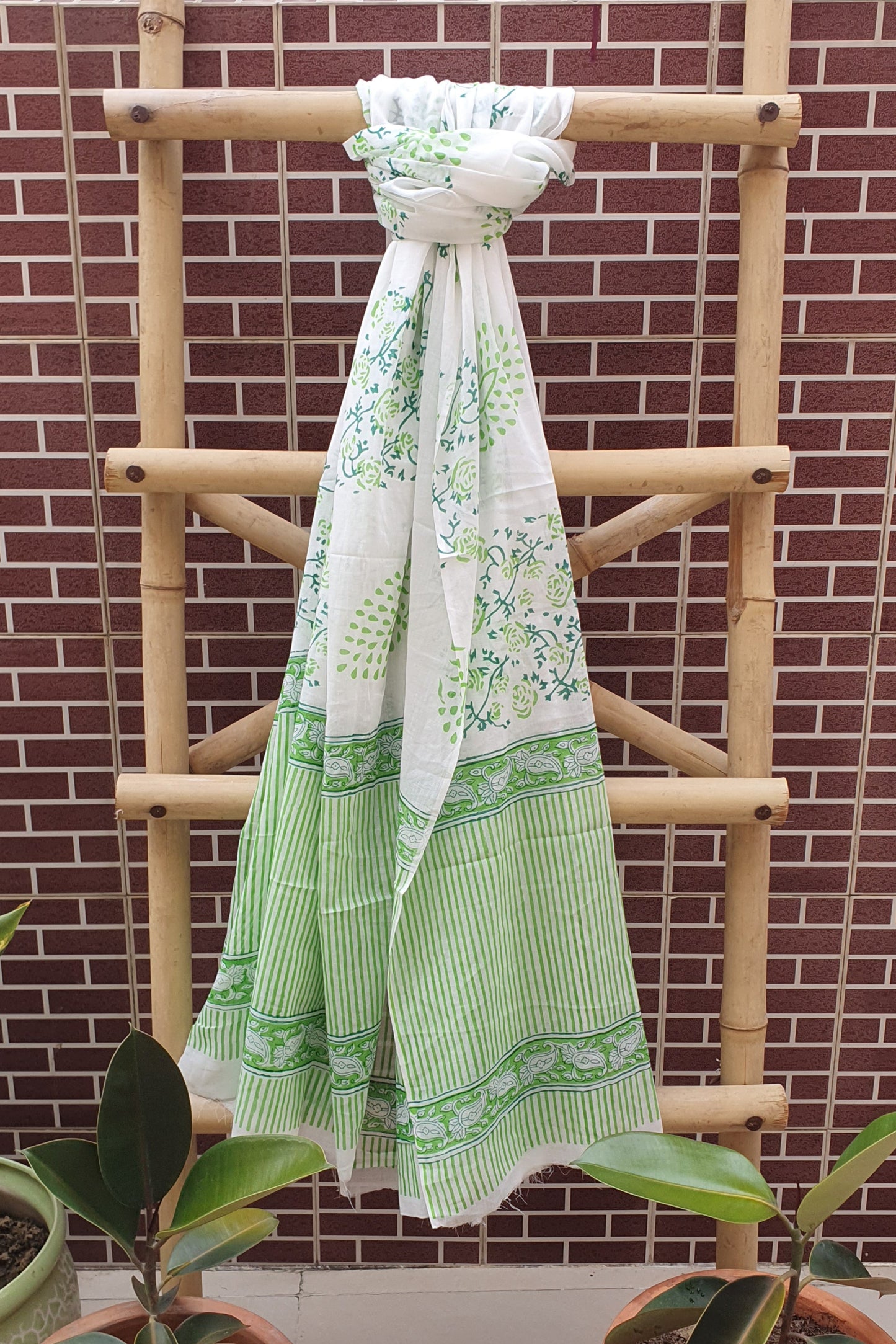 Mulberry Green Suit with Cotton Dupatta CCSP-0001