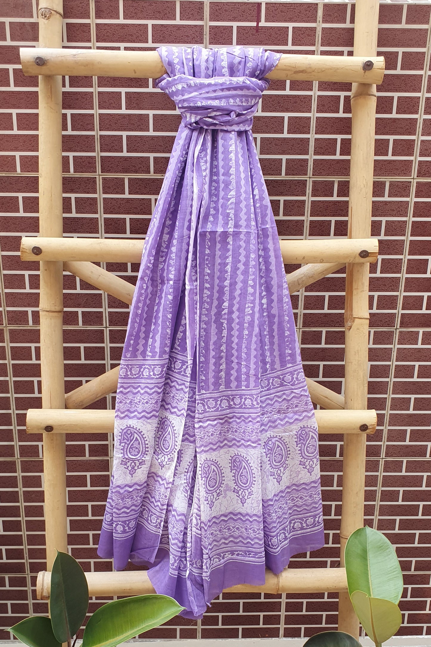 Mauve Cotton Suit CCSP-0007