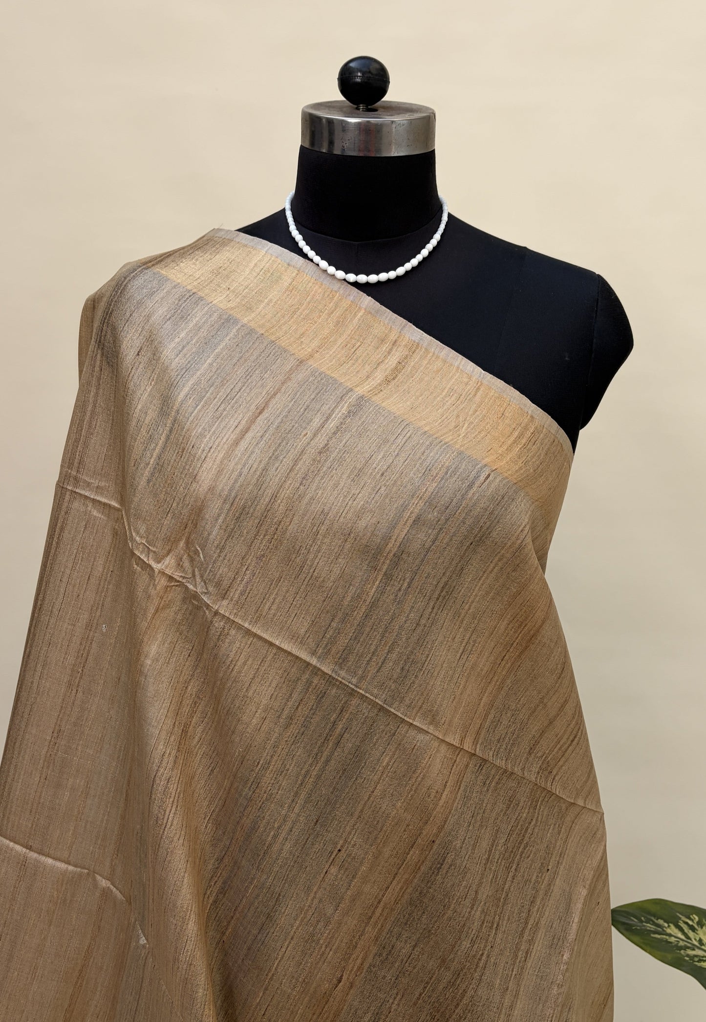Beige and Ivory Tussar Silk Saree