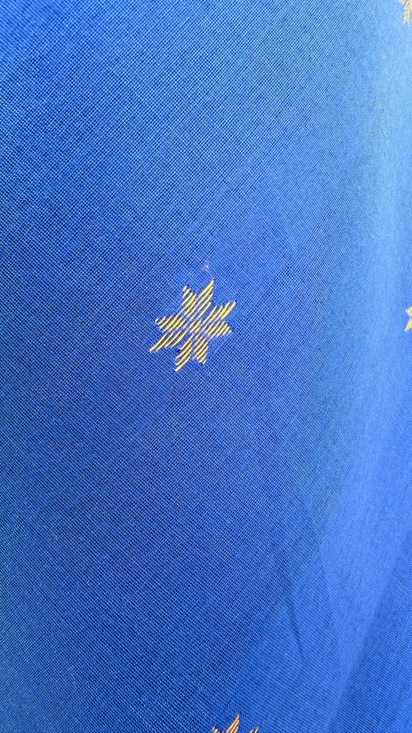 Neer Mahal Maheshwari Saree