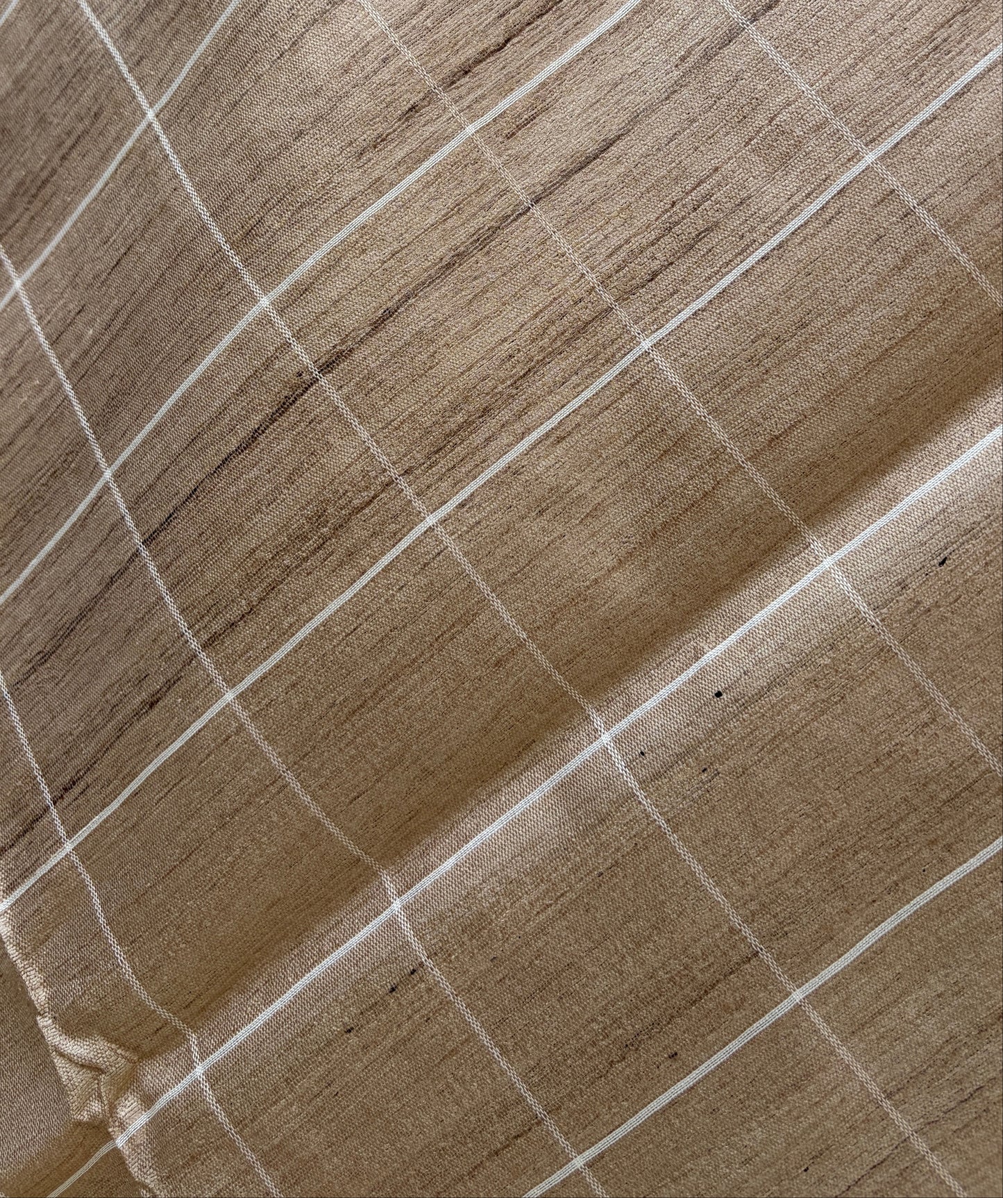 Natural Tussar Silk Saree with Checks & Stripes