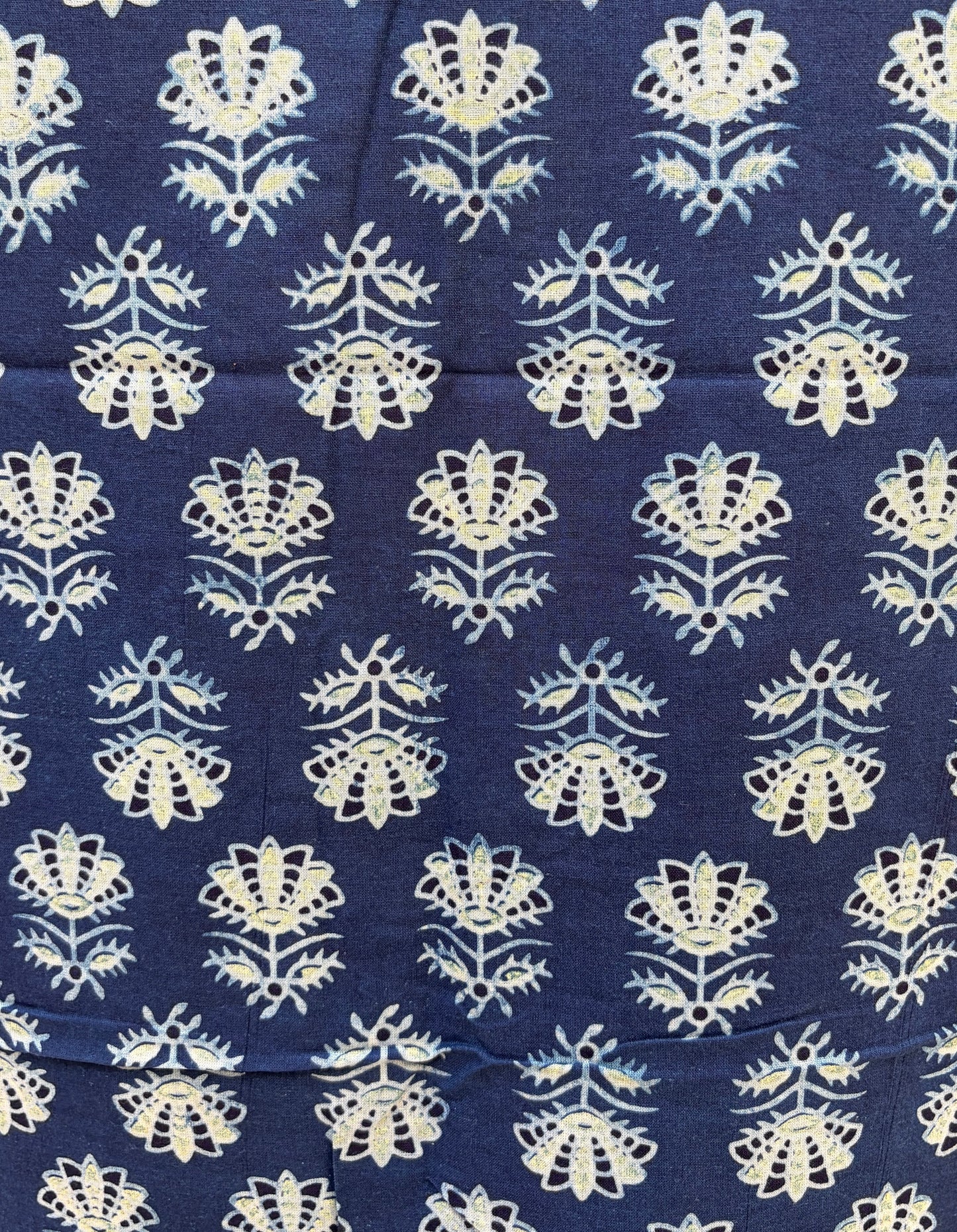 Indigo Cotton Ajrakh Suit